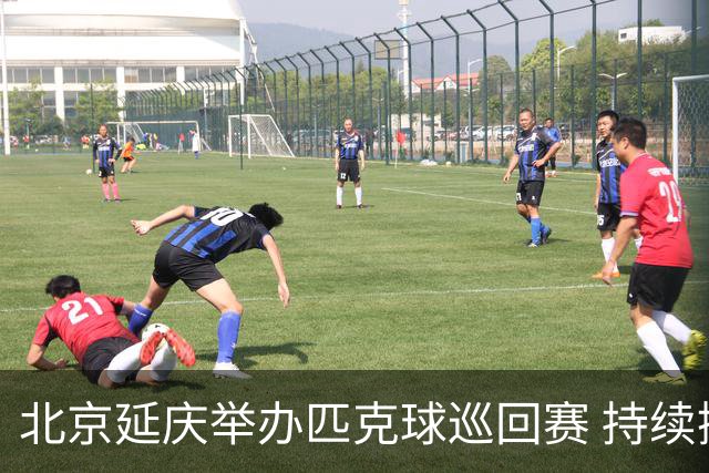 北京延庆举办匹克球巡回赛 持续擦亮户外运动城市名片